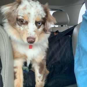 Meet your Posher, Aubrey